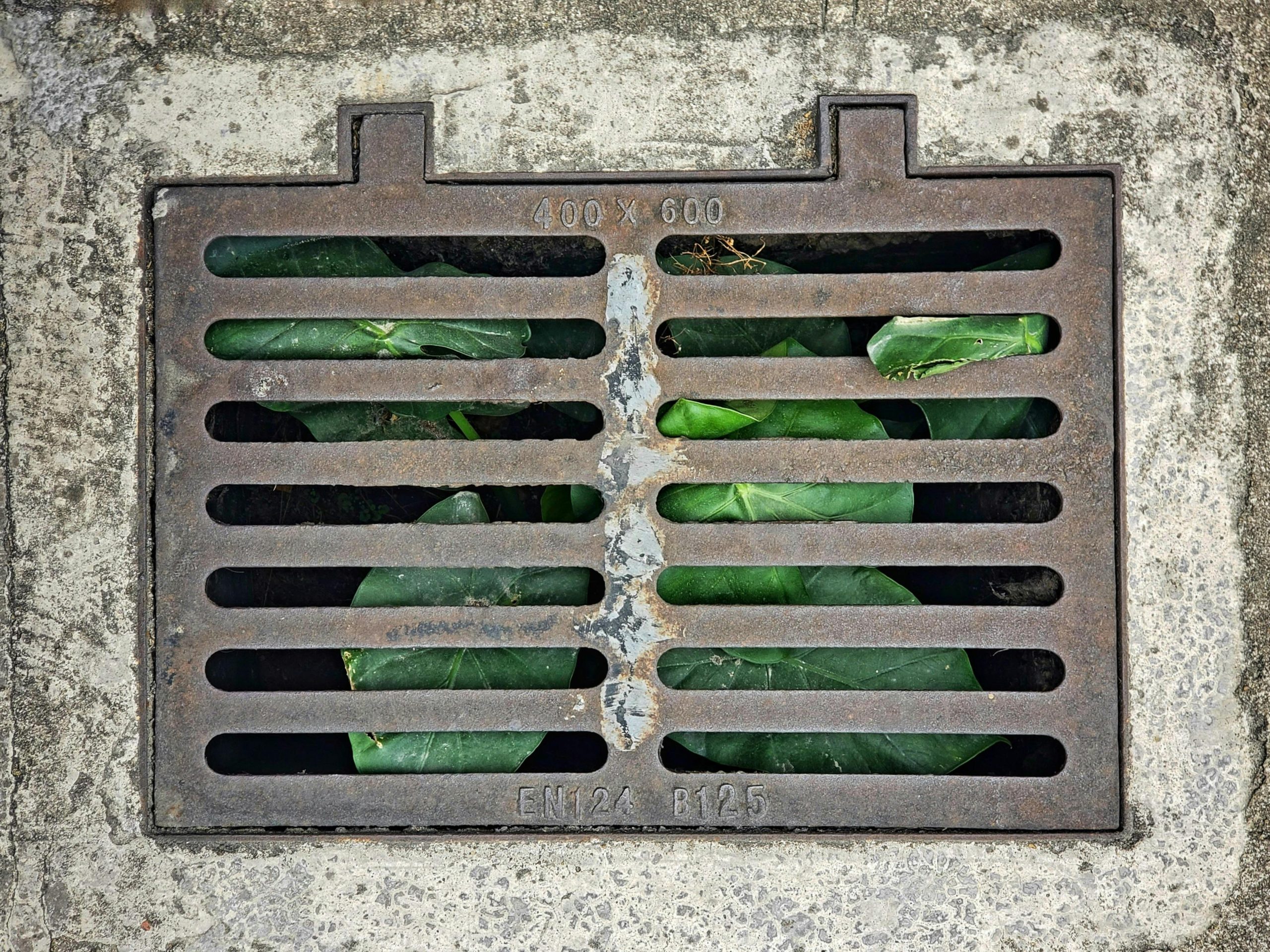 Technique de drainage pour maison sur sol argileux