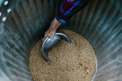Close-up of a hand using a bowl to scoop animal feed from a metal bin. Gros plan d'une main utilisant un bol pour puiser la nourriture pour animaux dans un bac métallique.