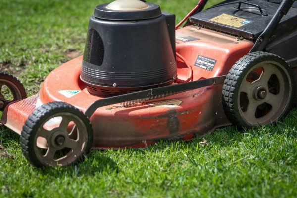A close-up view of a red lawn mower on a green lawn, showcasing its details. Vue rapprochée d'une tondeuse à gazon rouge sur une pelouse verte, mettant en évidence ses détails.