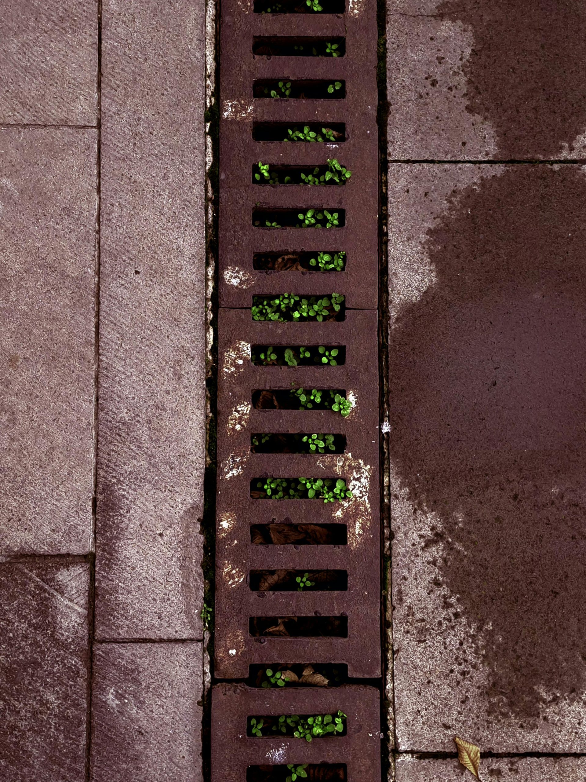 Durée de vie d'un puisard en béton