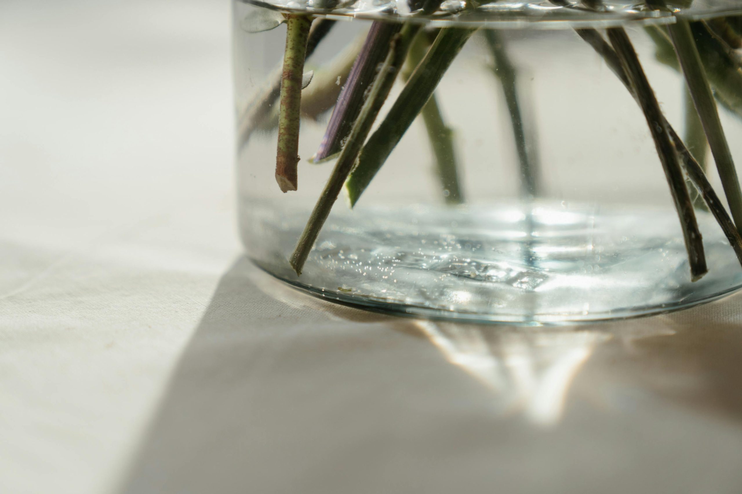 Idée décoration vase transparent grand modèle