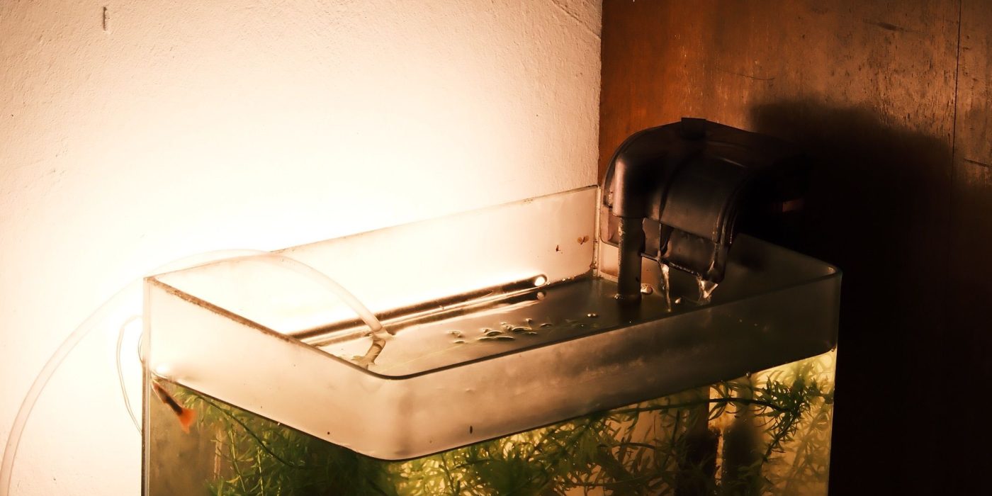 Pourquoi choisir un filtre externe pour son aquarium ?
